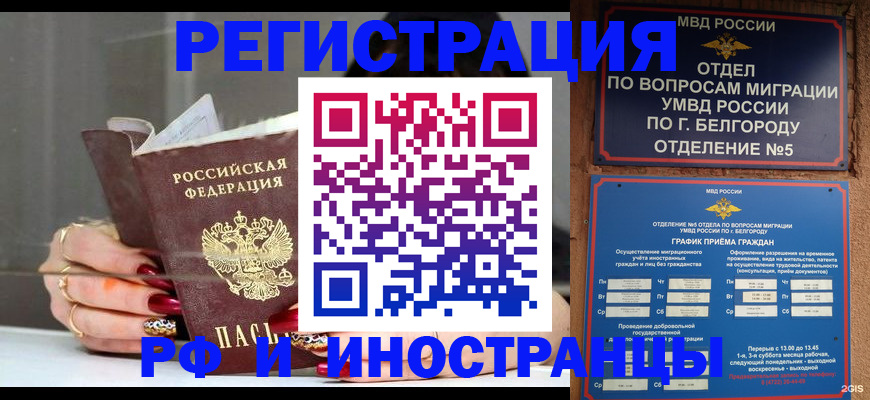 прописка в Светлогорске